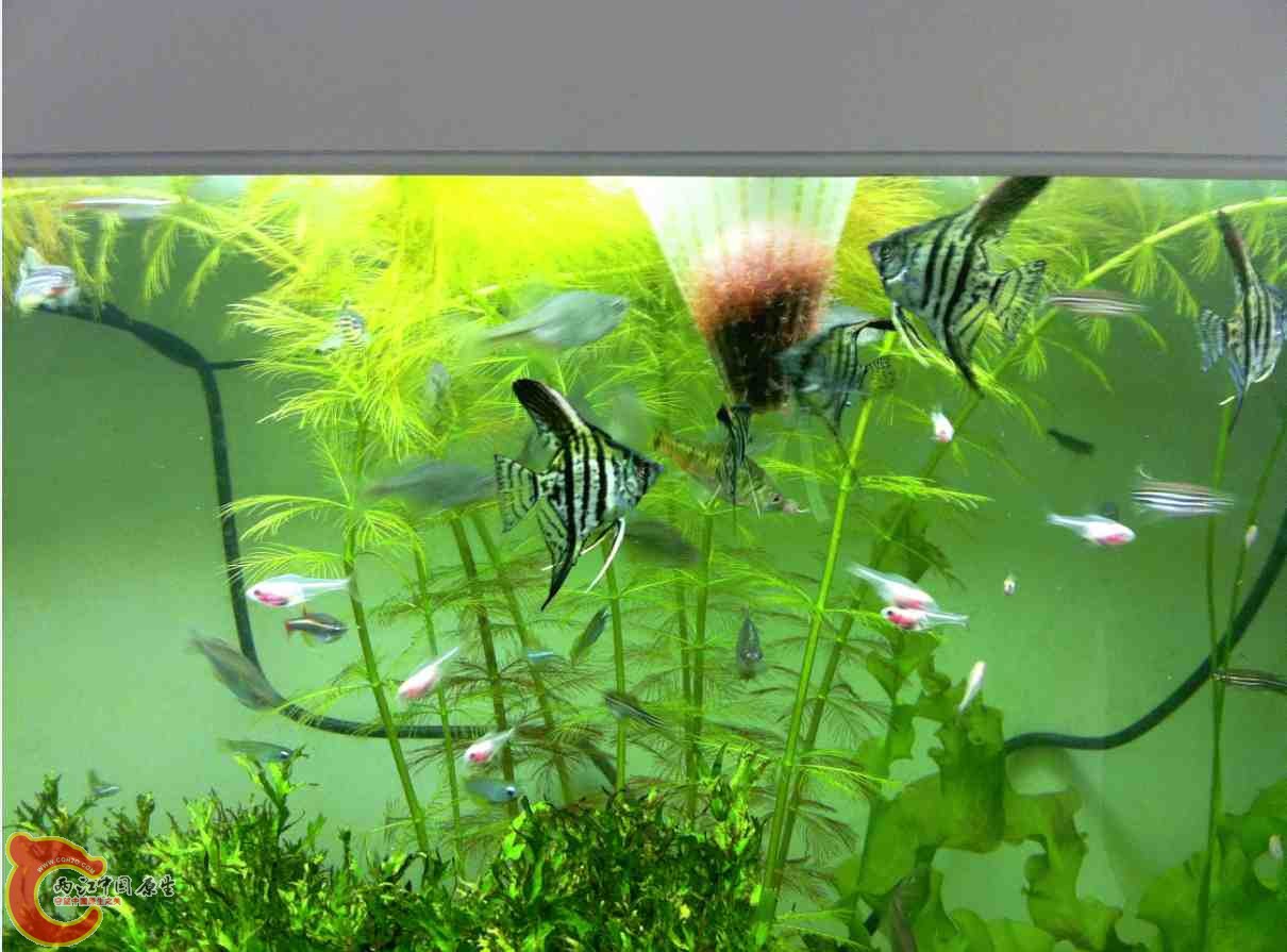 QQ截图20120110104239.jpg QQ截图20120110104239.jpg