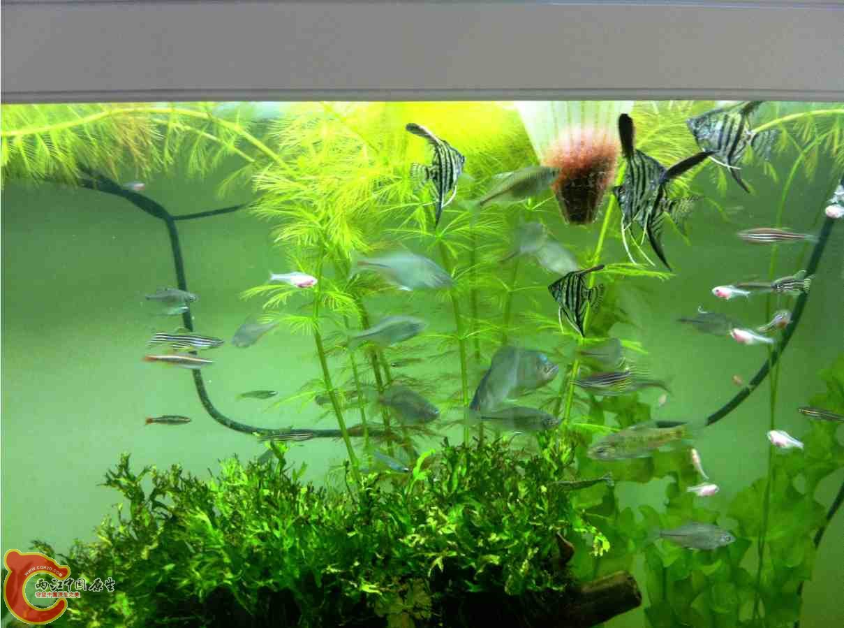 QQ截图20120110104251.jpg QQ截图20120110104251.jpg