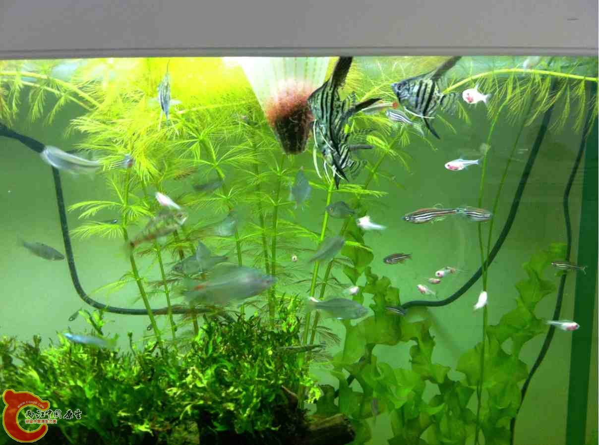 QQ截图20120110104303.jpg QQ截图20120110104303.jpg