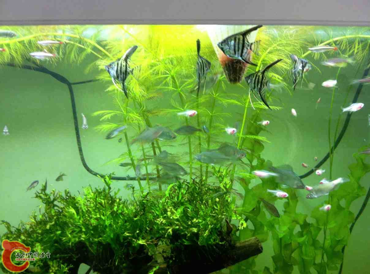 QQ截图20120110104314.jpg QQ截图20120110104314.jpg