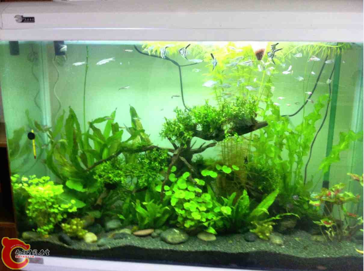 QQ截图20120110104327.jpg QQ截图20120110104327.jpg