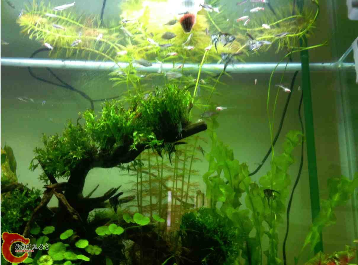 QQ截图20120110104340.jpg QQ截图20120110104340.jpg