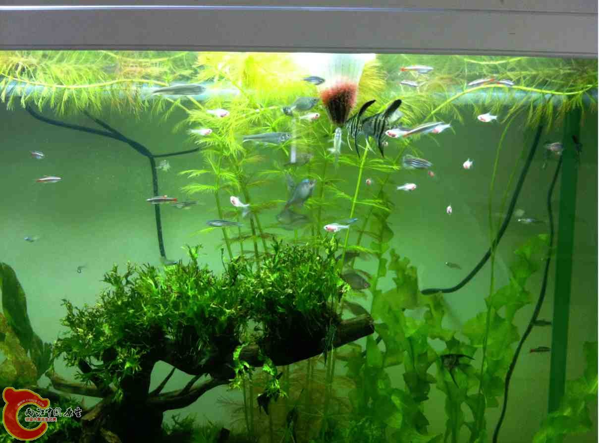 QQ截图20120110104353.jpg QQ截图20120110104353.jpg