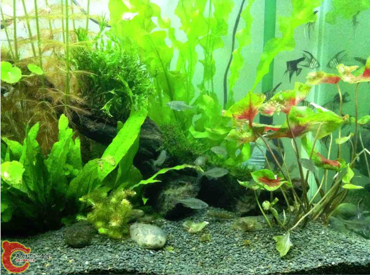 QQ截图20120110104429.jpg QQ截图20120110104429.jpg