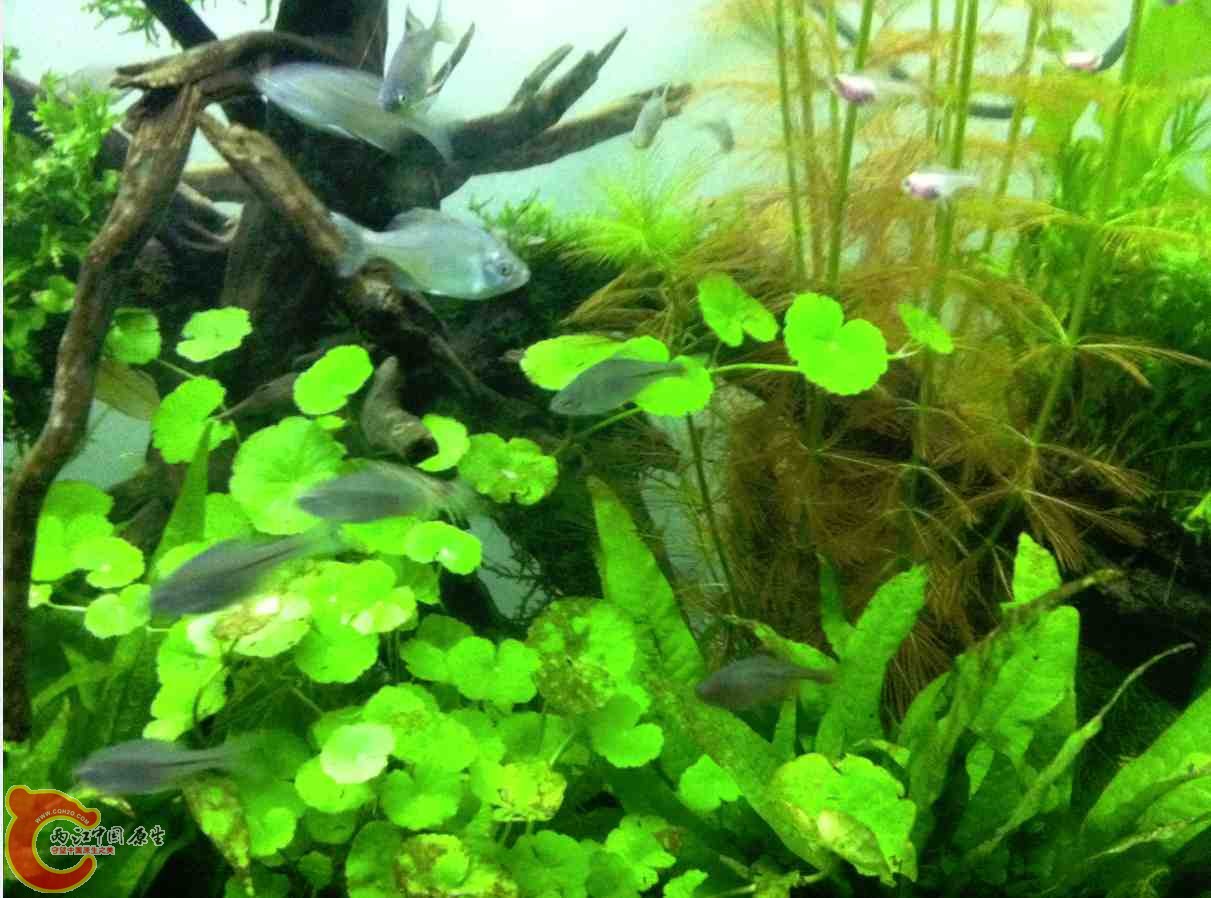 QQ截图20120110104457.jpg QQ截图20120110104457.jpg