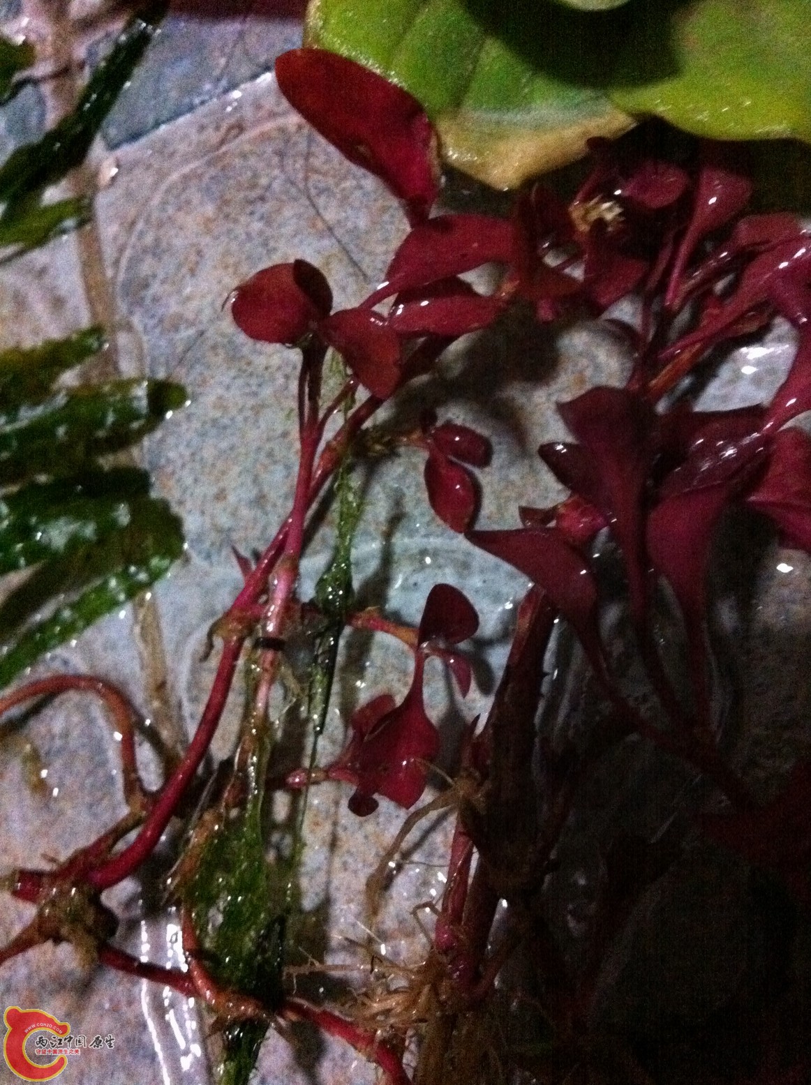 2011.12 495~.jpg