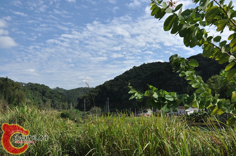 DSC_0134.jpg