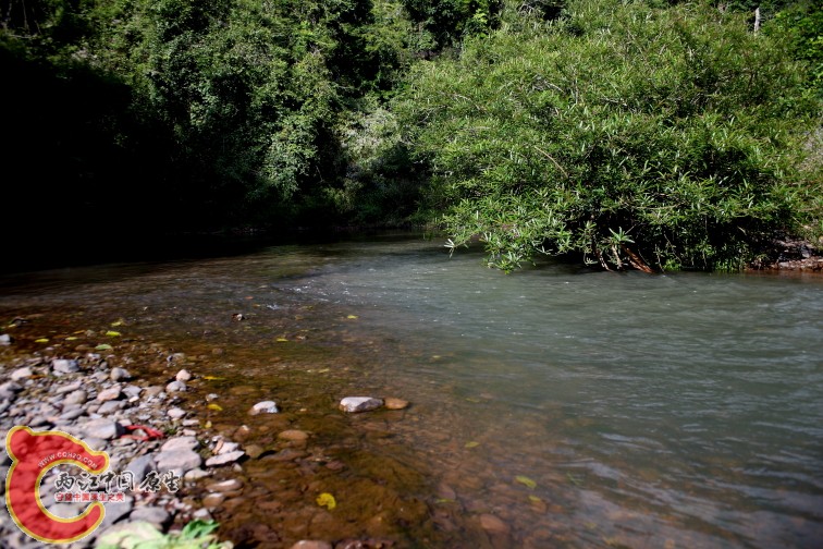 DPP_0004.JPG