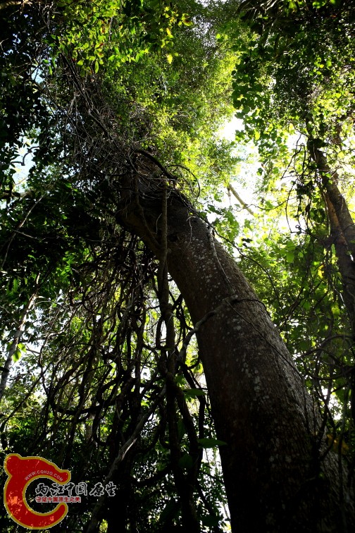 DPP_0005.JPG
