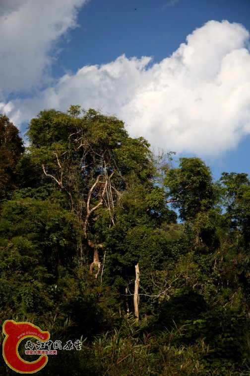 DPP_0007.JPG