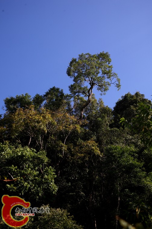 DPP_0008.JPG