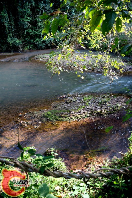 DPP_0009.JPG