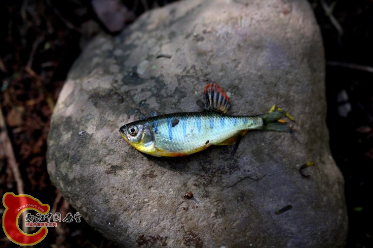 DPP_0028.JPG