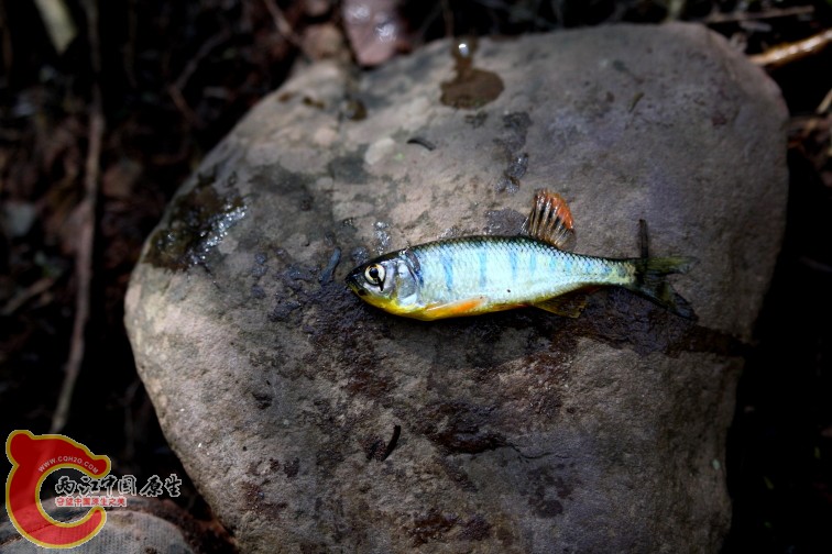 DPP_0030.JPG