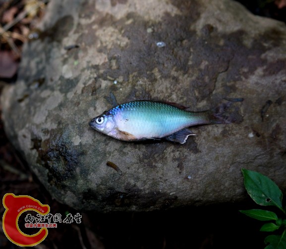 DPP_0032.JPG