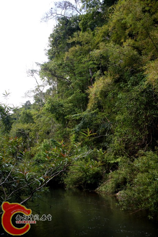 DPP_0041.JPG