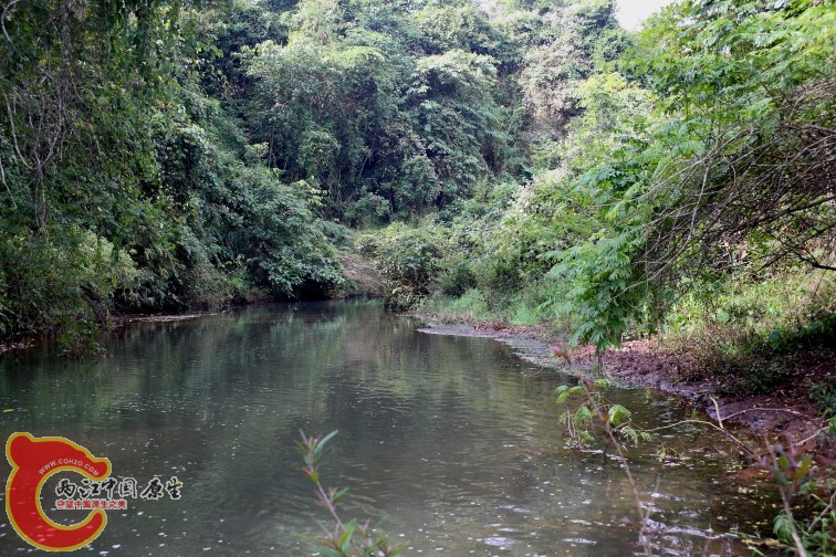 DPP_0056.JPG