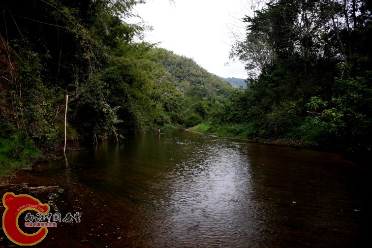 DPP_0059.JPG