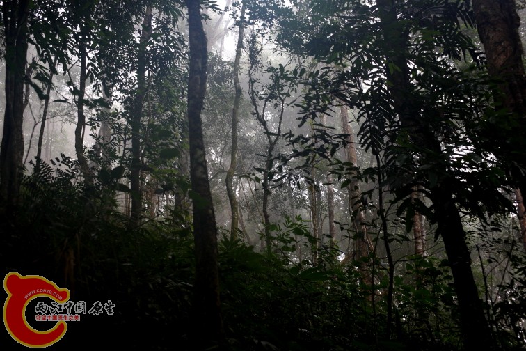 DPP_0075.JPG