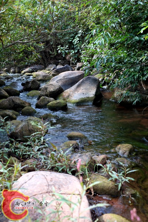 DPP_0083.JPG