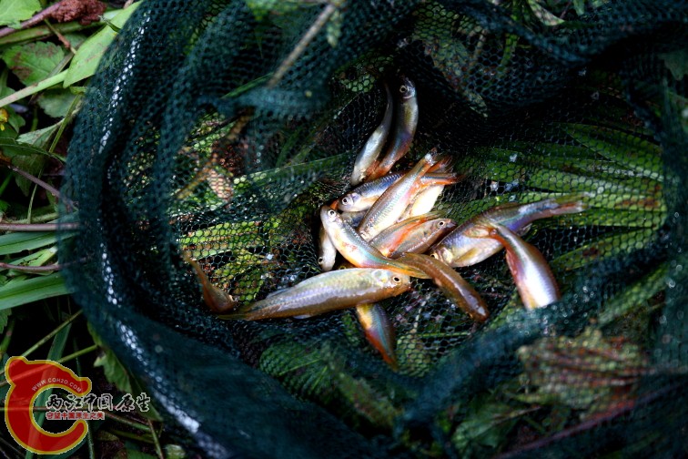 DPP_0090.JPG