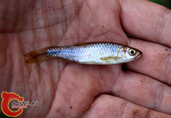 DPP_0093.JPG