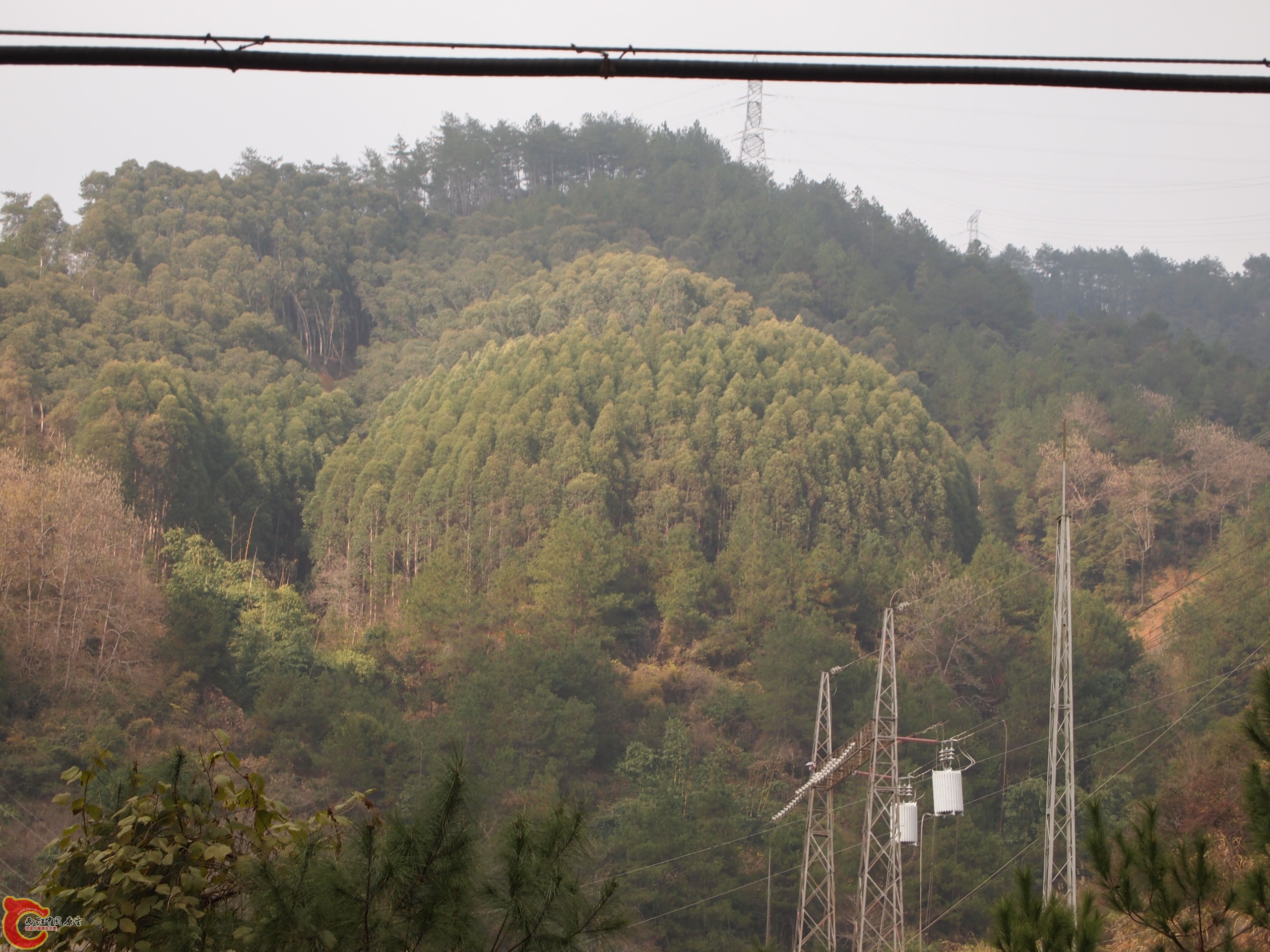 P1085332.JPG