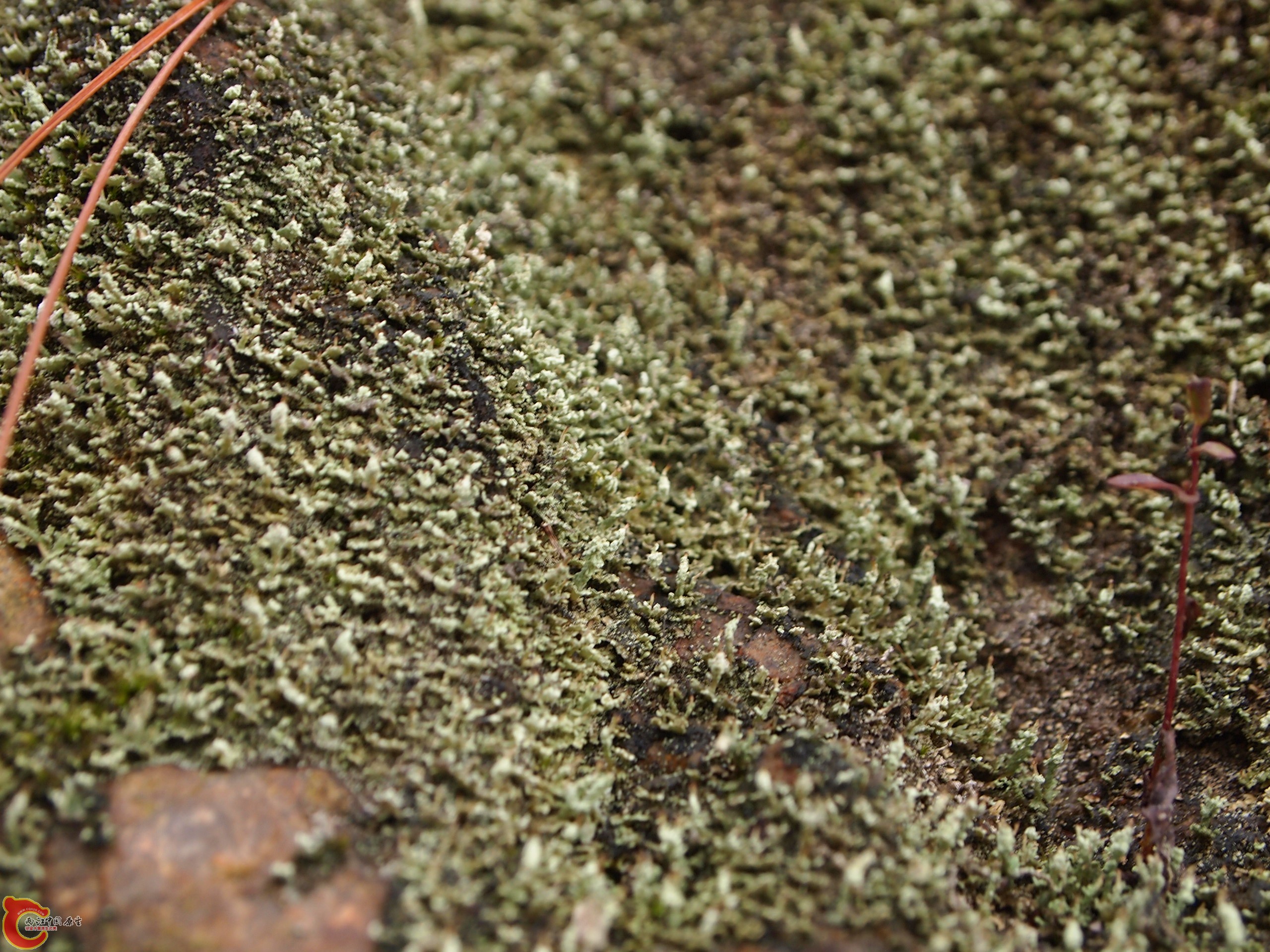 P1085342.JPG