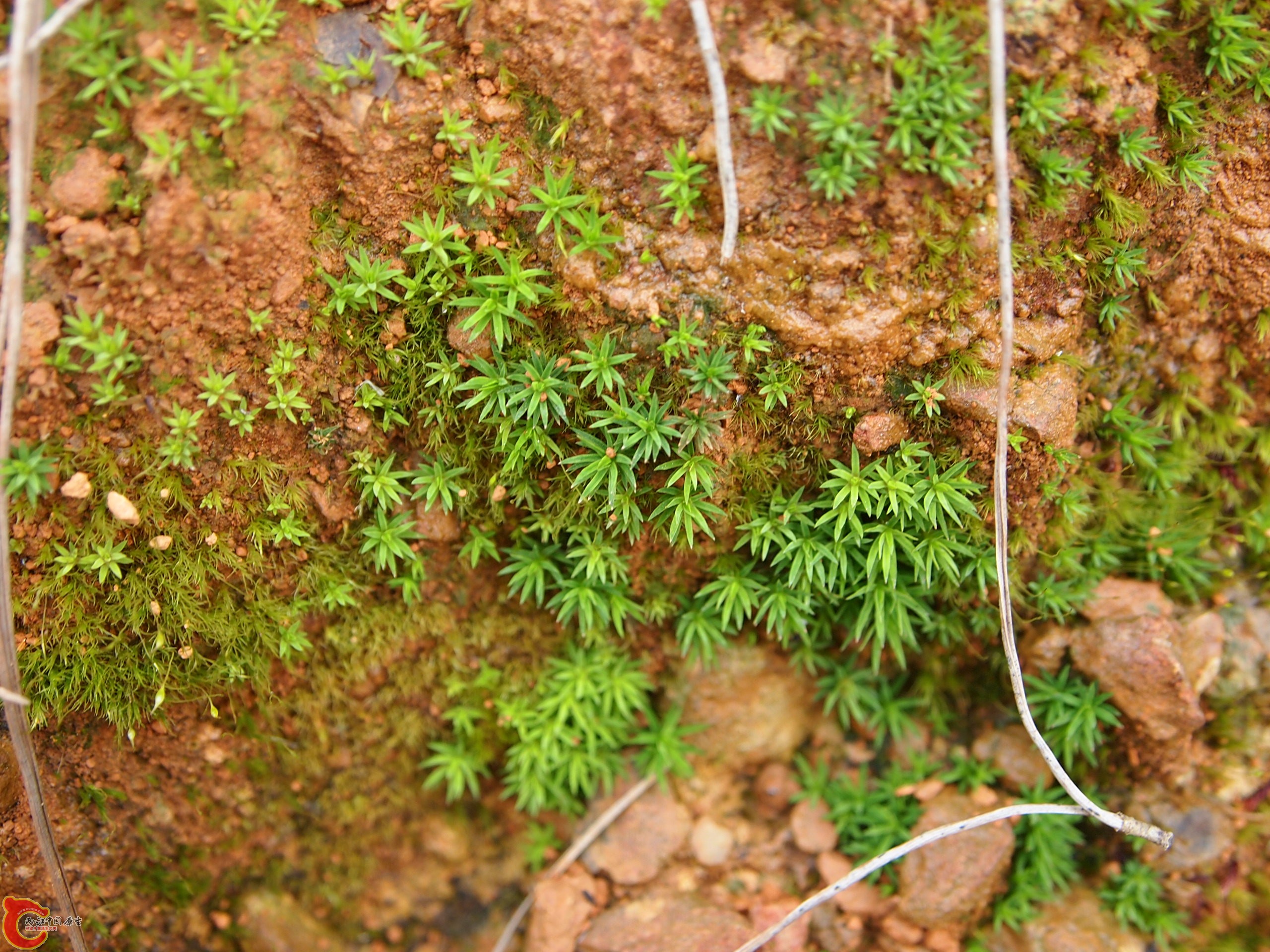 P1085345.JPG