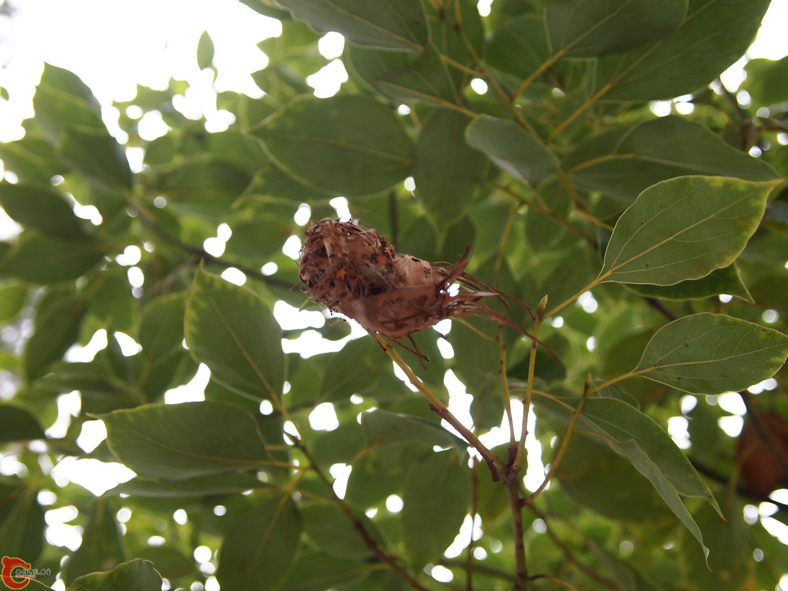P1085350.JPG
