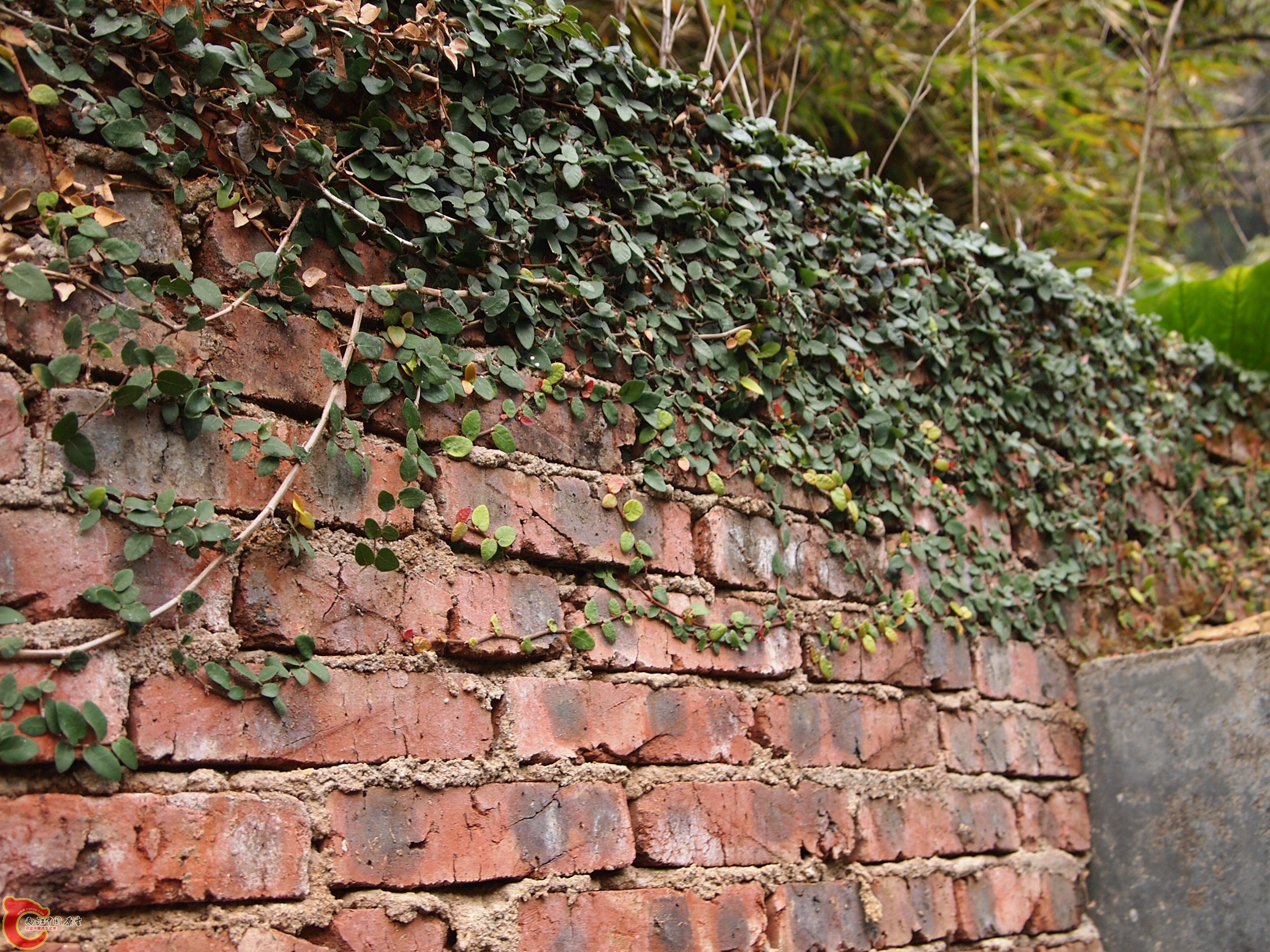 P1085364.JPG