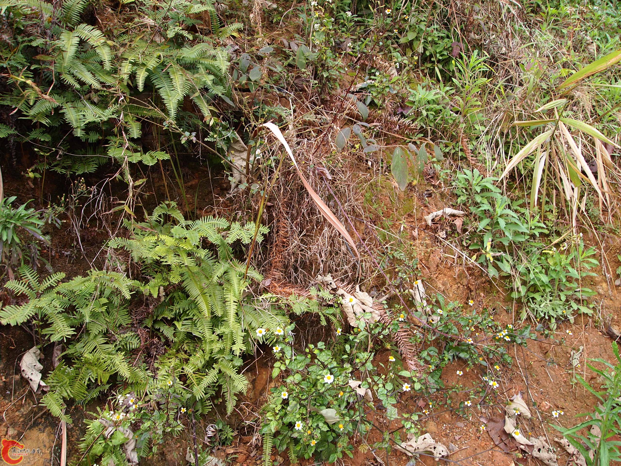 P1085372.JPG