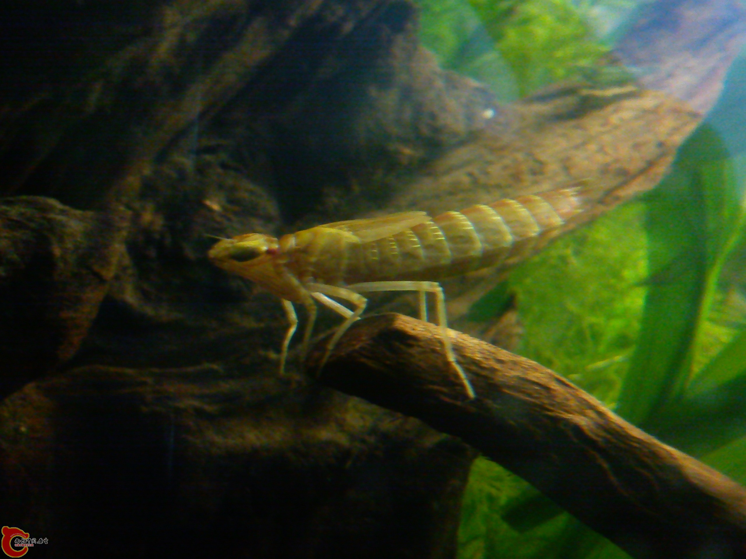 Camera_20120115_184419.jpg