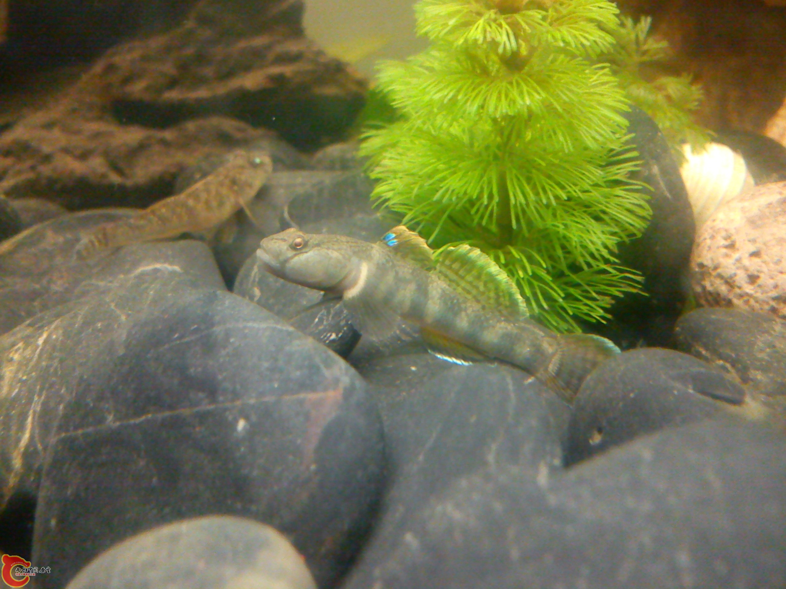 Camera_20120102_202722.jpg