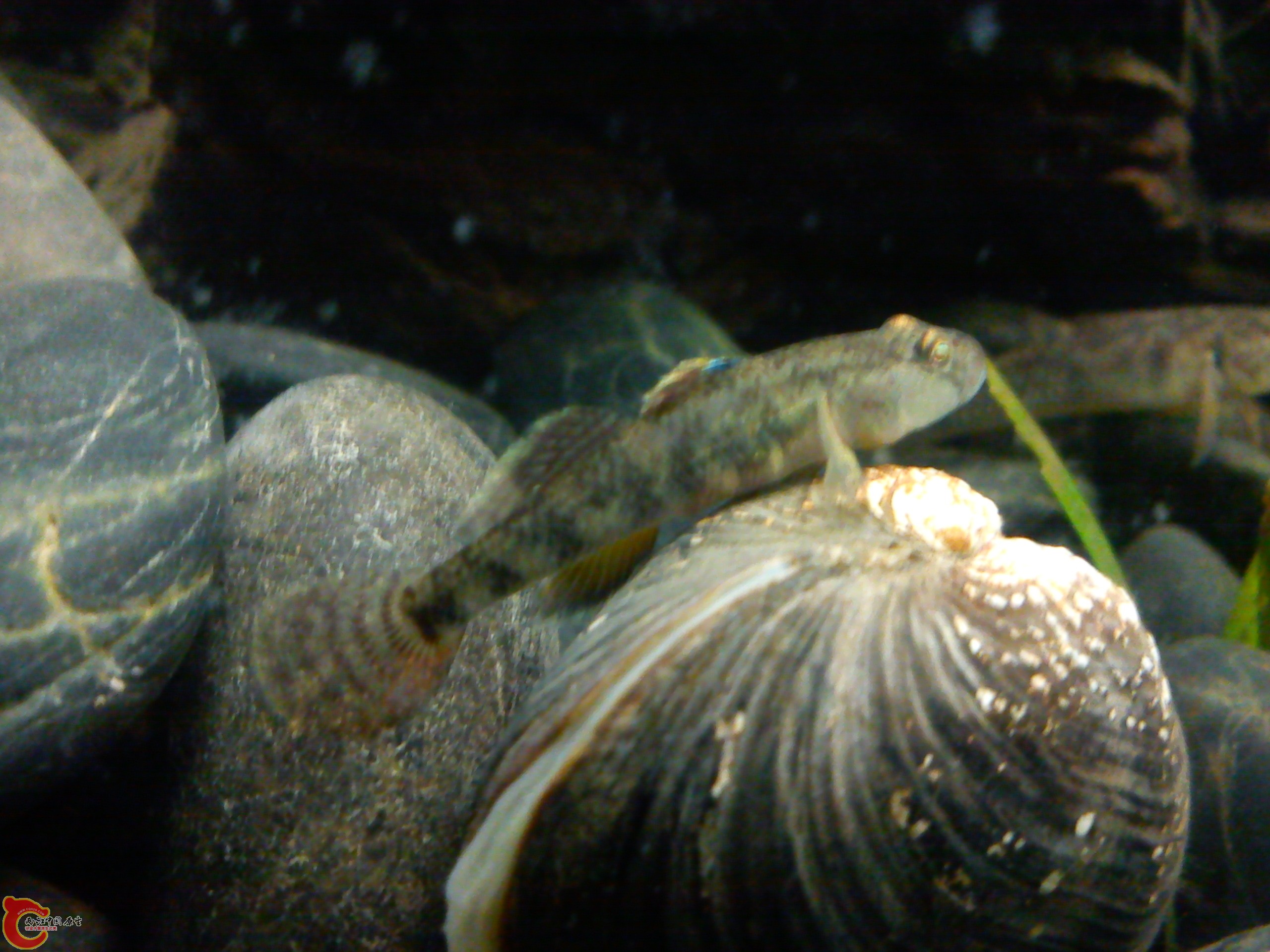 Camera_20111231_180211.jpg