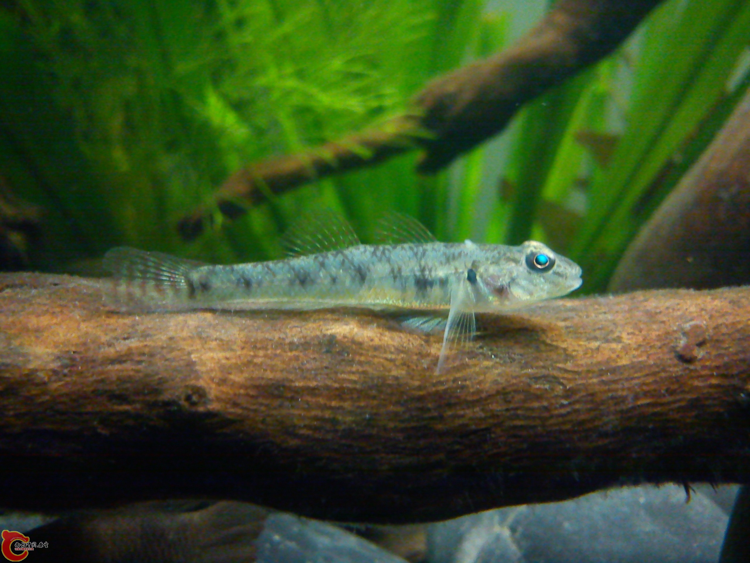 Camera_20111217_001120.jpg