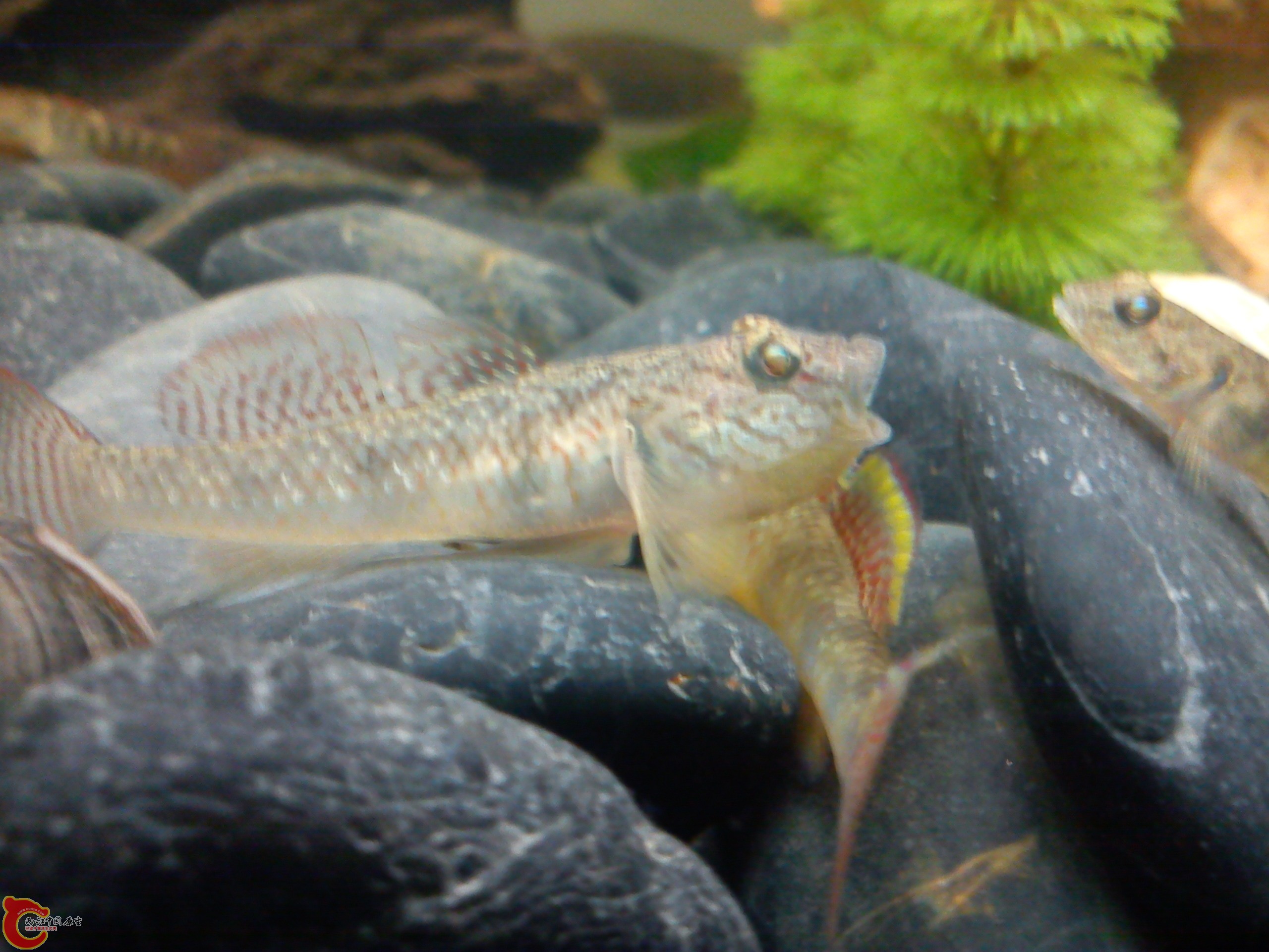 Camera_20111218_112931.jpg