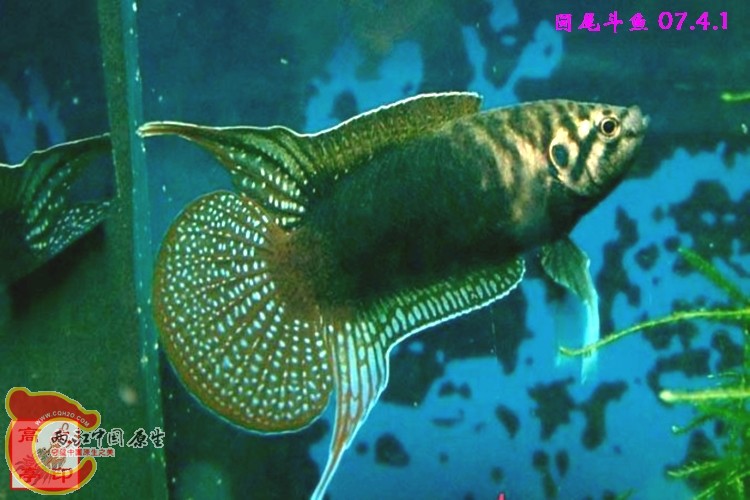 344306_1003.jpg
