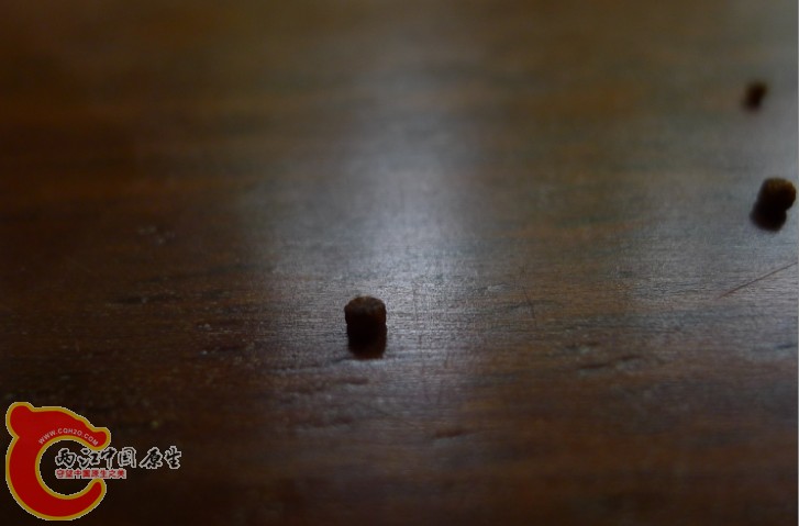 饲料 褐色的 有股腥味