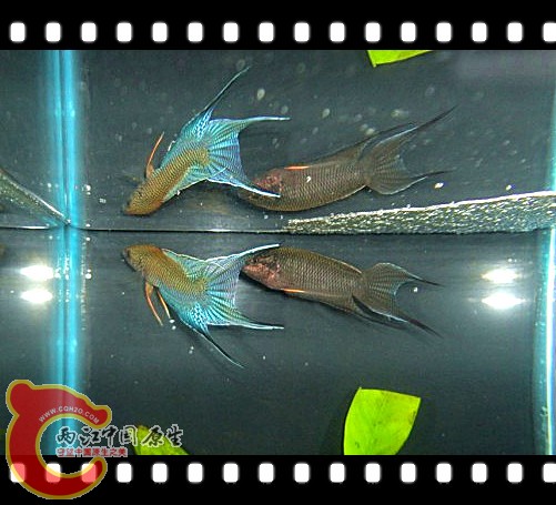 20111101.jpg