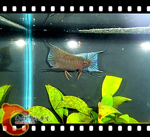 20111103.jpg