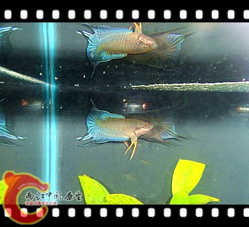 20111104.jpg