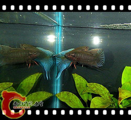 20111105.jpg