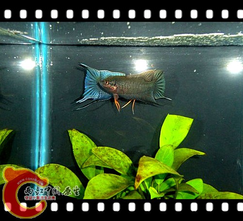 20111107.jpg