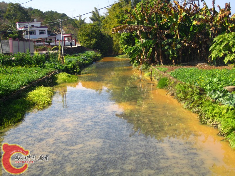 照片 003_副本.jpg