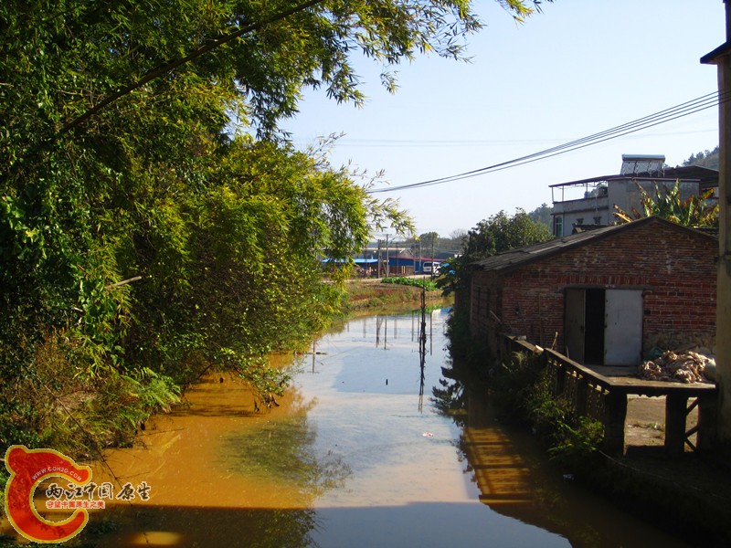 照片 004_副本.jpg