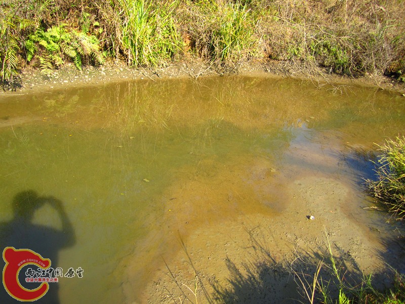 照片 005_副本.jpg