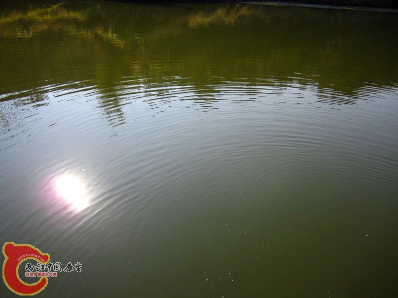 照片 007_副本.jpg