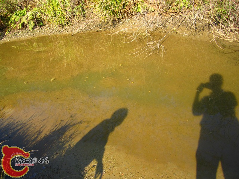 照片 009_副本.jpg