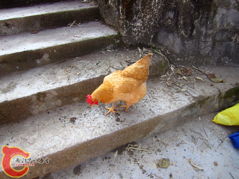 照片 011_副本.jpg